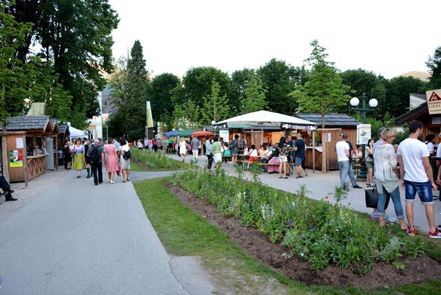 min 2015 06 05 bad ischl 079